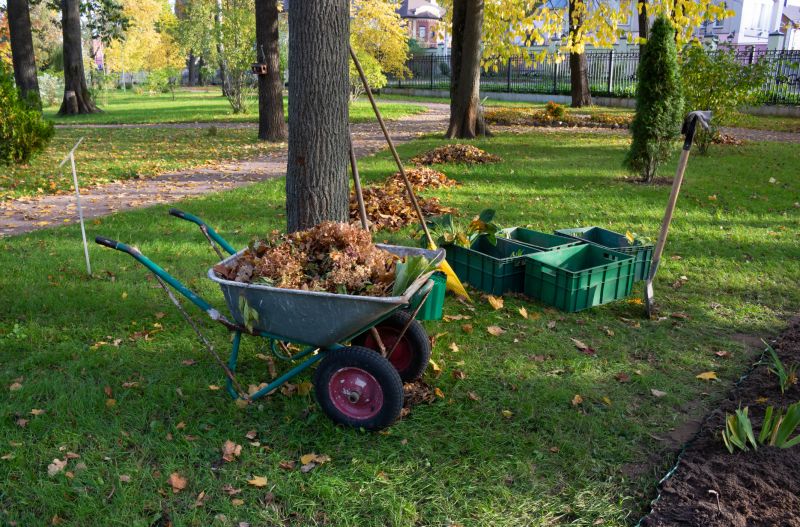 Efficient Vegetation Removal