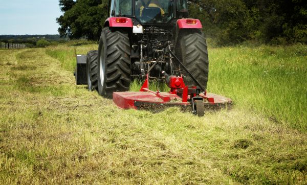 Cost of Brush Clearing Service in Albany
