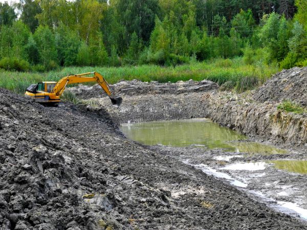 Cost of Lake Lot Clearing in Albany