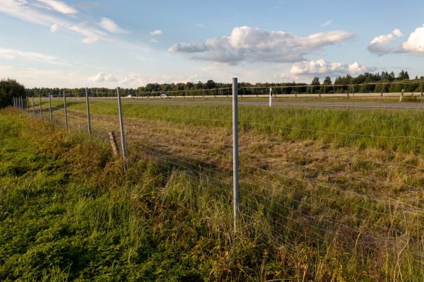 Cost of Property Line Clearing in Albany